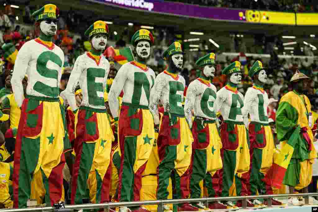 La selección de Senegal tuvo un fuerte apoyo desde la gradería en su partido ante Países Bajos.