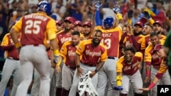 Los compañeros de equipo animan a Anthony Santander (25) de Venezuela después de conectar un jonrón en el partido del Clásico Mundial de Béisbol contra Puerto Rico, el domingo 12 de marzo de 2023, en Miami . (Foto AP/Wilfredo Lee)