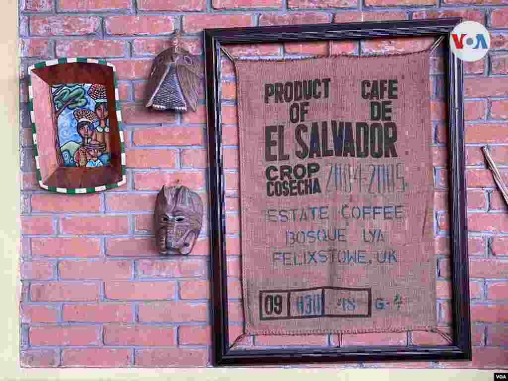 Bosque Lya ganó la taza de excelencia en 2004, con una variedad de Café Bourbon