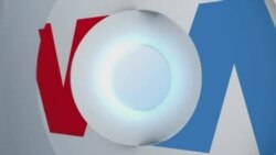 Visión 360 | Todos los ecosistemas del planeta en un solo lugar