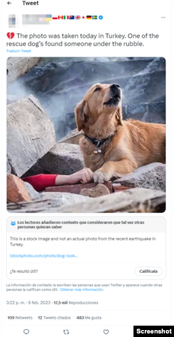 Publicación falsa sobre supuesto rescate canino en Turquía.