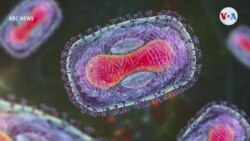 Preocupa la rápida propagación de la viruela del mono
