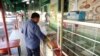 El Salvador: comerciantes y compradores impactados por alza en precio de comida