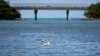 Inicia dragado en puerto de Puerto Rico; ambientalistas advierten amenaza a tortugas y corales