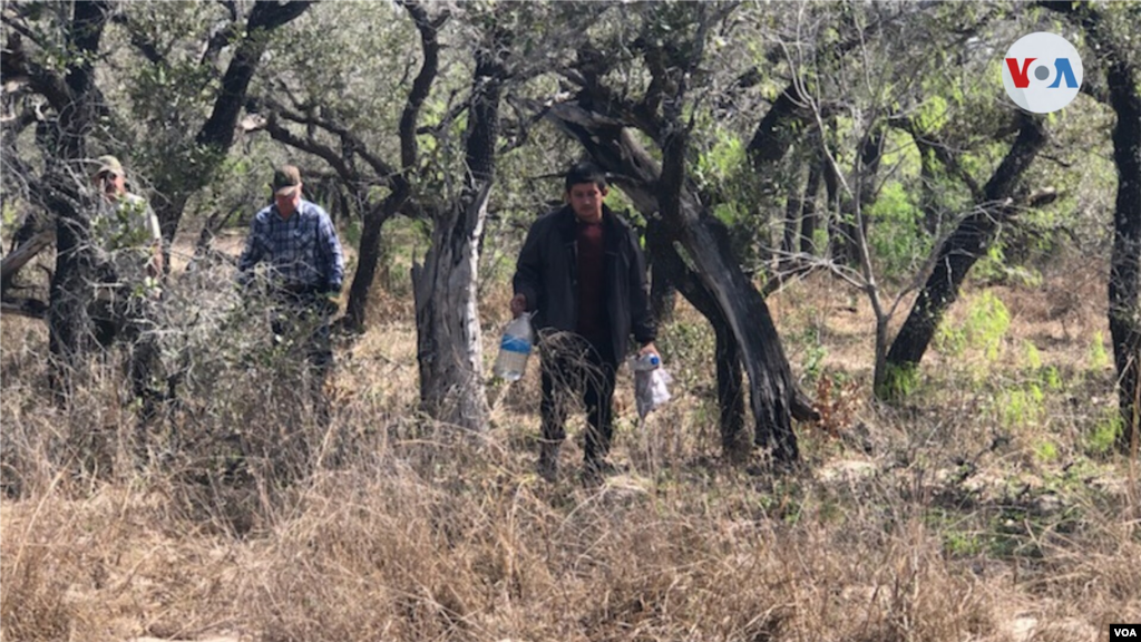 En esta otra foto, ofrecida por Vicker, se ve el tr&#225;nsito que se registra por su rancho. El veterinario explica que el trasiego de inmigrantes que evaden a las autoridades pone en peligro la vida de todo, indocumentados y vecinos de las &#225;reas rurales a l