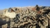 Decenas de muertos por sismo cerca del Everest, en el oeste de China