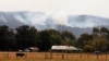 FILE - A cow grazes at a farm close to smoke rising from a bushfire near Toongabbie, Victoria state, Australia, Jan. 24, 2013.