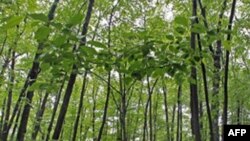 Опозиція вимагає розслідувати події у Харкові