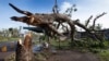 Red Cross Seeks $7M for Fiji After Cyclone Winston