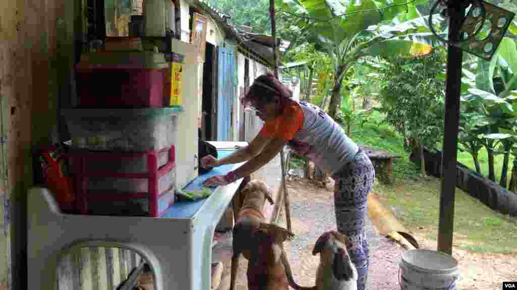 Alba Hernandez revisa cuidadosamente a sus cachorros en busca de pulgas y garrapatas.