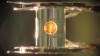 Scientists Cite Advances in Controlled Fusion Research