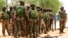 Soldiers stand during a parade in Baga village in the northeastern state of Borno May 13, 2013. 