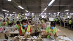 VOA Asia – China offers an olive branch on trade