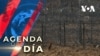 La Casa Blanca informó esta semana una disminución significativa en los encuentros con migrantes en la frontera entre Estados Unidos y México.