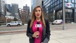 Más de 4 mil muertes en NY por coronavirus