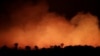 El Amazonas arde y el mundo pide acciones para salvar el pulmón del planeta