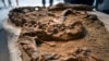 Paleontólogos en Perú presentan fósil de cocodrilo juvenil de más de 10 millones de años