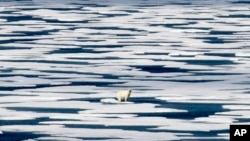A polar bear stands on the ice in the Franklin Strait in the Canadian Arctic Archipelago, July 22, 2017. 