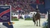 DC: Le cheval Fait son show