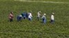 El gobierno considera a la agricultura como una de las industrias más peligrosas.