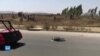 መቐለ: ፈላማይ ውድድር መኪና ተኻይዱ