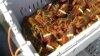 Pandemi hingga Iklim Menekan Nelayan Lobster AS