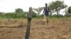 More Farmers Needed in Africa