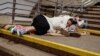Las temperaturas en el Estado de Texas son el principal peligro para los migrantes que cruzan la frontera