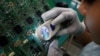 FILE - A woman looks through a magnifying glass to check for errors on a printer circuit board at Manutronics Factory in Bac Ninh province, Vietnam, May 30, 2018. 