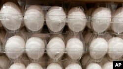 Los precios de los huevos al productor actualmente se encuentran a la mitad del valor que tenía al finalizar diciembre. (Archivo)