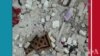 16x9 Image