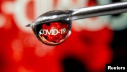 COVID-19 se ve reflejado en una gota en la aguja de una jeringa en esta ilustración del 9 de noviembre.