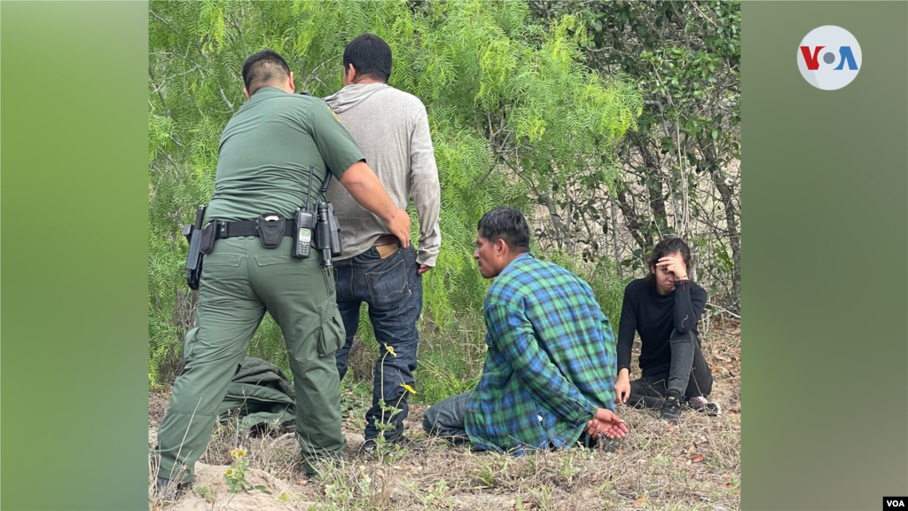 Esta imagen, entregada a la Voz de Am&#233;rica por el Dr. Vickers, muestra un grupo de personas detenidas luego de ser encontradas cruzando por su terreno en el &#225;rea de Falfurrias. “Esta gente es mucho m&#225;s conflictiva y peligrosa y muchos de ellos son crimina