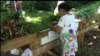 New Roots: Program Pertanian Skala Kecil untuk Pengungsi di Amerika
