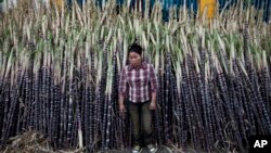 ARCHIVO - Una mujer vende caña de azúcar en el Mercado Oriental de Managua, Nicaragua, el 7 de diciembre de 2012.