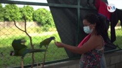 Tercer pico de la pandemia llega a los albergues de migrantes venezolanos en Arauquita