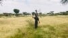 ኣብ ዞባ ዶቡብ ትግራይ ዕስለ ኣንበጣ ኣብ ዝበፅሑ ዘራእቲ ጉድኣት የብፅሕ 