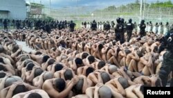 Miembros de la Policía Militar del Orden Público custodian a pandilleros luego de que las Fuerzas Armadas tomaran el control de los penales a nivel nacional como parte del operativo "Fe y Esperanza", en esta foto del folleto divulgada el 26 de junio de 2023.
