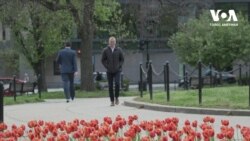 "Я мрію повернутися додому." Закордонні українці голосують. Відео