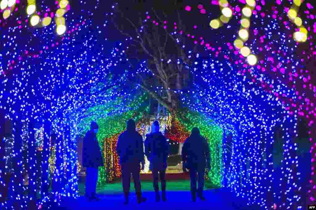 M&#225;s de 200.000 luces decoran un para&#237;so invernal en Naumkeag, parte del terreno administrado por los Fideicomisarios de Reservas, en Stockbridge, Massachusetts. La ciudad fue votada como la ciudad navide&#241;a n&#250;mero uno en EE.UU., 13 de diciembre 2020. [AFP]