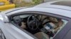 Lock Your Cars! Vehicle Theft Spikes in COVID-19 Pandemic 