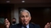 El doctor Anthony Fauci, director del Instituto Nacional de Alergia y Enfermedades Infecciosas de EE. UU. durante una audiencia en el Senado, el 23 de septiembre de 2020.