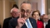 FILE - Senate Minority Leader Chuck Schumer, Democrat-New York, is flanked by colleagues, during a news conference, at the Capitol in Washington, Nov. 14, 2018.