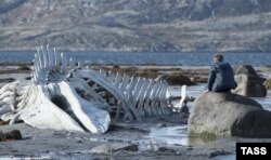 Russia -- A scene from the Russian film "Leviathan" directed by Andrei Zvyagintsev