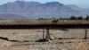 En esta foto del 23 de septiembre de 2019, un jinete cruza un puente sobre el lecho de un río que quedó seco por la peor sequía de Chile en más de medio siglo, en Putaendo. 