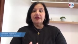 Diputada venezolana Dinorah Figuera opina sobre renuncia de Julio Borges