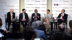 ¿En tela de juicio credibilidad de la OEA?