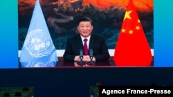 Los miembros del personal de los medios ven una imagen en vivo del presidente de China, Xi Jinping, hablando desde el centro de medios de la Conferencia de la ONU sobre Biodiversidad en Kunming, en la provincia de Yunnan, suroeste de China, el 12 de octubre de 2021. 
