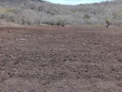 Las tierras secas ya están aradas en espera de las primeras lluvias.
