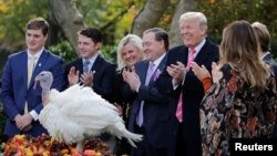 Magarukuni ndiwo anonyanya kudyiwa pazuva reThanksgiving muAmerica